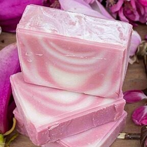 kwiat lotosu kwiat lotosu