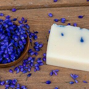 wiosenny deszcz wiosenny deszcz