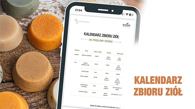 Kalendarz zbioru ziół